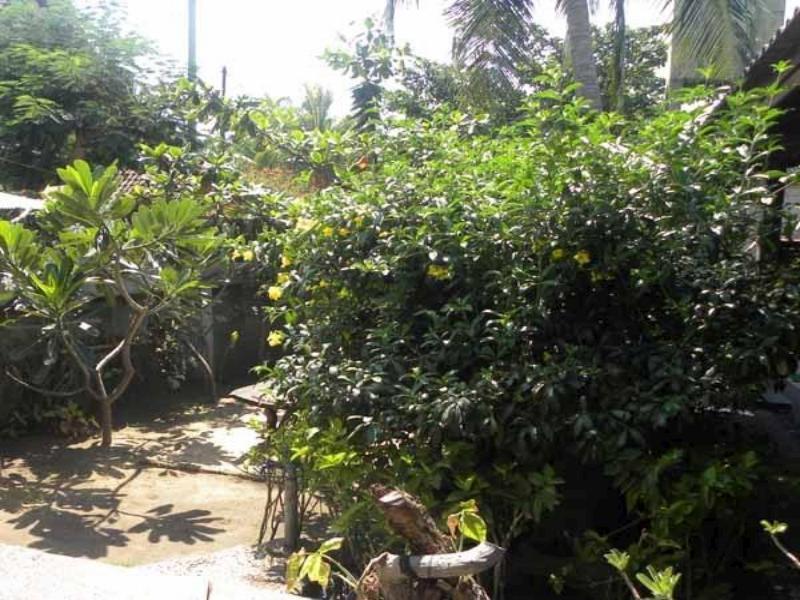 Malino Homestay Gili Trawangan Esterno foto