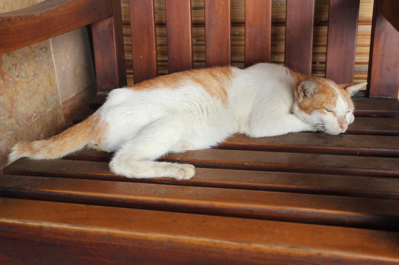 Malino Homestay Gili Trawangan Esterno foto